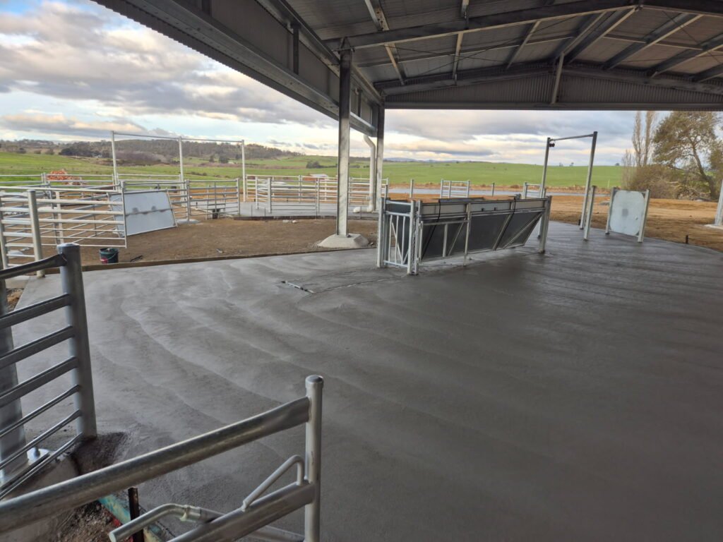 Concrete sheep yard/pen in Cambelltown, Tasmania. 